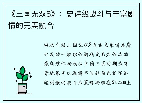 《三国无双8》：史诗级战斗与丰富剧情的完美融合